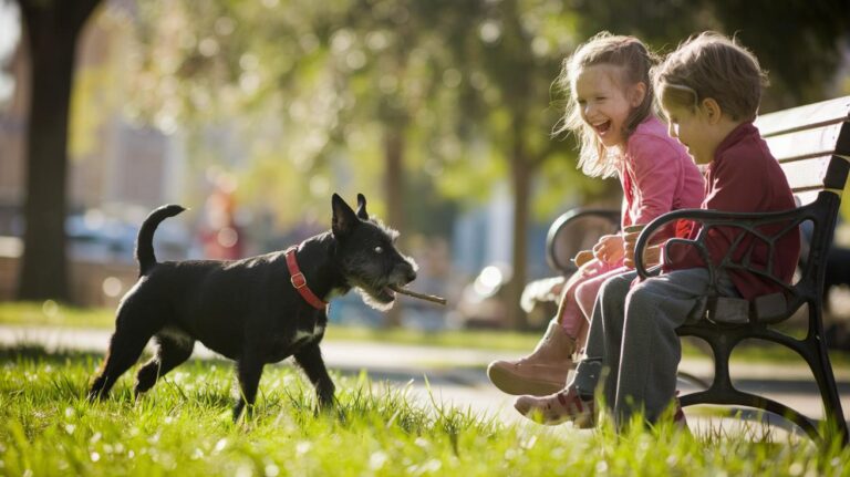 Czarny terier a dzieci – czy to dobry wybór?