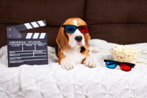a beagle dog in 3d glasses is lying on the couch a 2025 03 08 22 17 09 utc