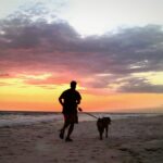 Bieganie z czarnym terierem rosyjskim – jak robić to bezpiecznie i z korzyścią dla psa?