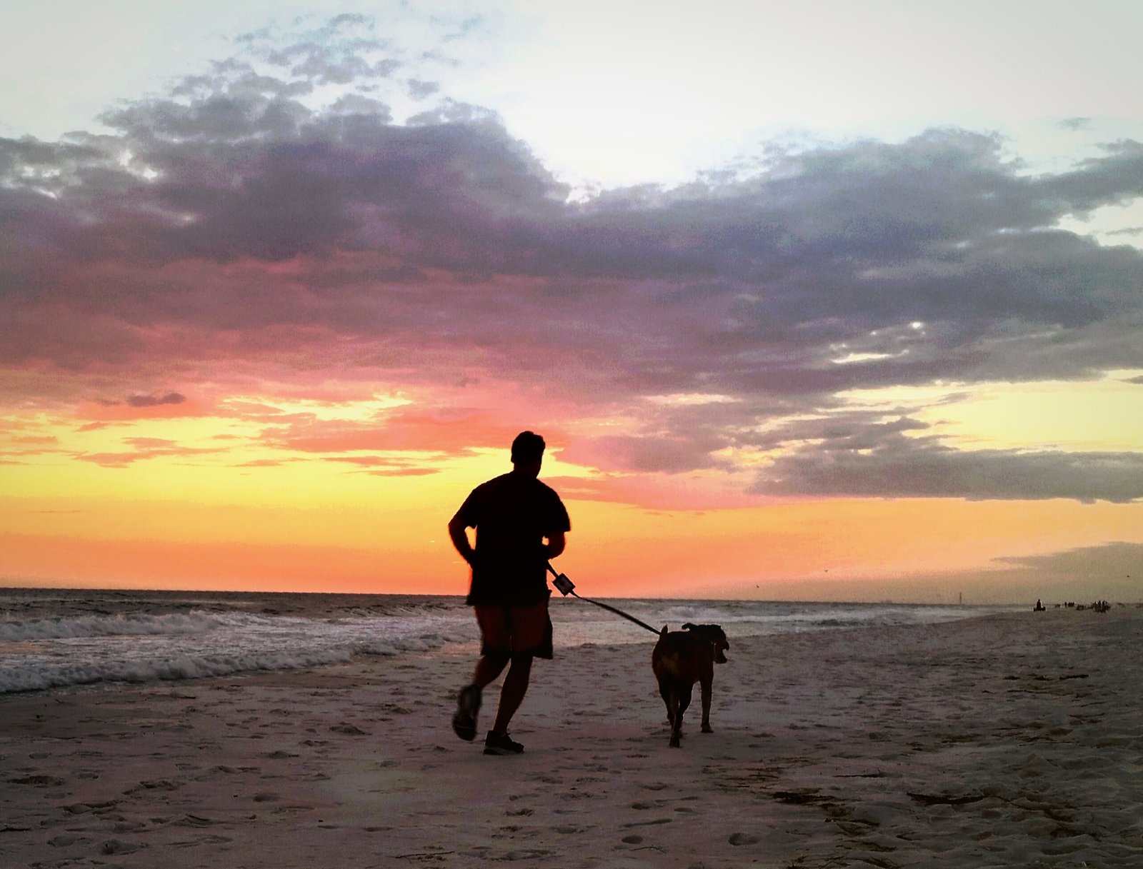 Bieganie z czarnym terierem rosyjskim – jak robić to bezpiecznie i z korzyścią dla psa? 5 bieganie na plaży z psem